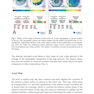 Diagnostics in Ocular Imaging: Cornea, Retina, Glaucoma and Orbit