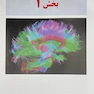 مبانی علوم اعصاب کندل 2021 جلد اول (فصول 1 تا 10)