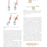 Clinical Chemistry: Principles, Techniques, and Correlations 9th Edicion