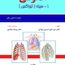 آناتومی سینه(توراکس)