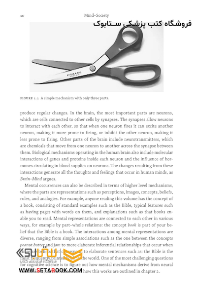 Mind Society: From Brains to Social Sciences and Professions