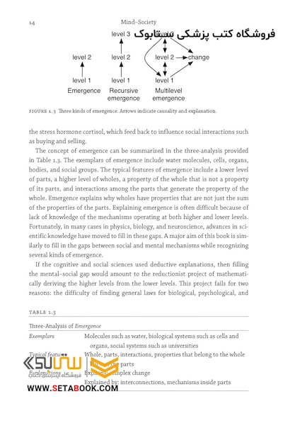 Mind Society: From Brains to Social Sciences and Professions