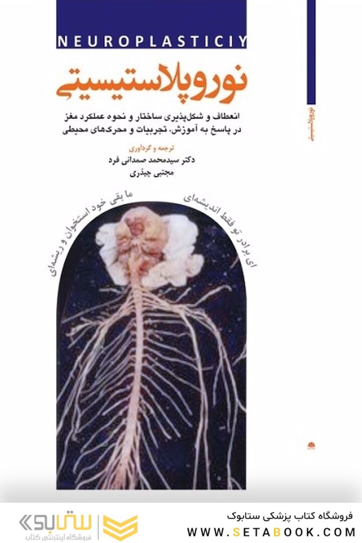 نوروپلاستیسیتی