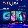 مبانی علوم اعصاب کندل 2021 جلد چهارم (فصول 30 تا 39)