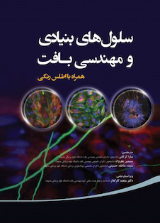 عکس سلول های بنیادی و مهندسی بافت