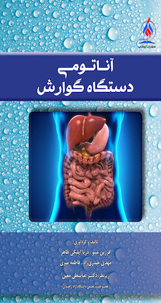 عکس آناتومی دستگاه گوارش