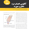 درد دهان و صورت بل