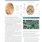 2023 Biological Psychology 14th Edicion