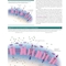 2023 Biological Psychology 14th Edicion