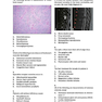 Neurosurgery Primary Examination Review: High Yield Questions, Answers, Diagrams, and Tables 1st Edicion 2019