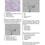 Neurosurgery Primary Examination Review: High Yield Questions, Answers, Diagrams, and Tables 1st Edicion 2019