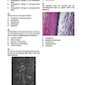 Neurosurgery Primary Examination Review: High Yield Questions, Answers, Diagrams, and Tables 1st Edicion 2019