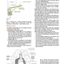 Cranial Nerves: Anatomy, Pathology, Imaging