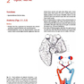 Cranial Nerves: Anatomy, Pathology, Imaging