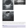 Examination Review for Ultrasound: Abdomen and Obstetrics & Gynecology Third Edition