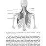 Solving the Pain Puzzle: Cases from 25 Years as a Physical Therapist Paperback