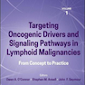 Precision Cancer Therapies, Volume 1: Targeting Oncogenic Drivers and Signaling Pathways in Lymphoid Malignancies: From Concept to Practice 1st Edition