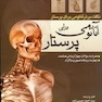 نکات برتر آناتومی برای پرستار