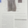 خلاصه بارداری و زایمان ویلیامز 2022
