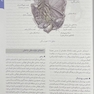 خلاصه بارداری و زایمان ویلیامز 2022