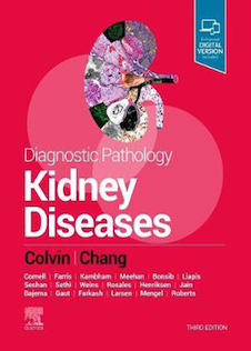 عکس Diagnostic Pathology: Kidney Diseases, 3rd Edition2019