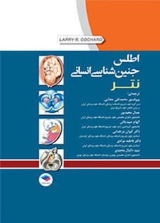 عکس اطلس جنین شناسی انسانی نتر