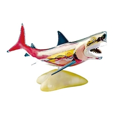 عکس کوسه ماهی