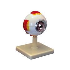 عکس چشم 10 برابر