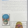آناتومی عمومی بدن 2022