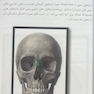 آناتومی عمومی بدن 2022
