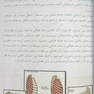 آناتومی عمومی بدن 2022