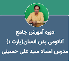 عکس آموزش آناتومی عمومی بدن انسان (قسمت اول)