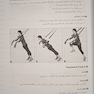 راهنمای جامع TRX تمرینات معلق