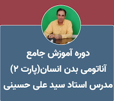 عکس آموزش آناتومی عمومی بدن انسان (قسمت دوم)