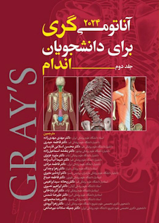 عکس آناتومی گری برای دانشجویان 2024 اندام جلد دوم