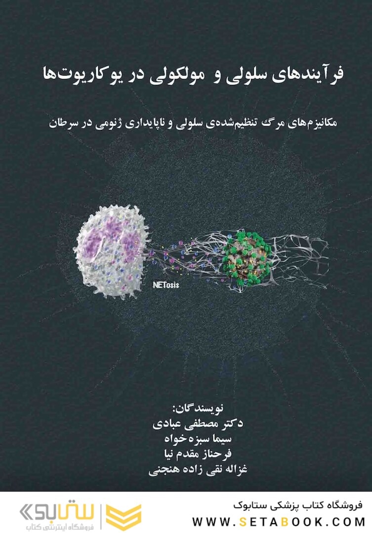 فرآیندهای سلولی و مولکولی در یوکاریوت ها