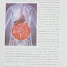 راهنمای بالینی مراقبت از استومی (کولوستومی-ایلئوستومی-یوروستومی) برای پرستاران