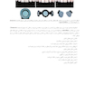 دندانپزشکی ترمیمی دیجیتال (فصول برگزیده)