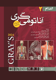 عکس آناتومی گری برای دانشجویان 2024 اندام جلد دوم