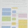 پروتکل جامع فارماکوتراپی بیماران پیوند کبد کودکان