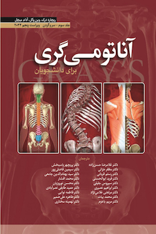 عکس آناتومی گری برای دانشجویان سر و گردن جلد سوم  2024