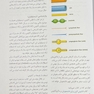 آناتومی گری برای دانشجویان اندام جلد دوم 2024 (اسکلتی-عضلانی)