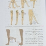 آناتومی گری برای دانشجویان اندام جلد دوم 2024 (اسکلتی-عضلانی)