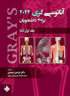 عکس آناتومی گری برای دانشجویان تنه جلد اول 2024