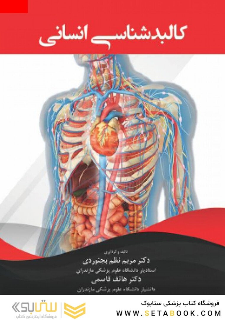 کالبد شناسی انسانی