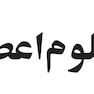 راهنمای علوم اعصاب شناختی
