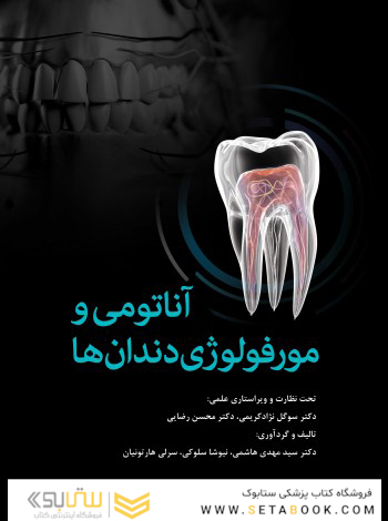 آناتومی و مورفولوژی دندان  ها