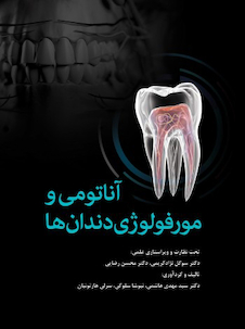 عکس آناتومی و مورفولوژی دندان  ها