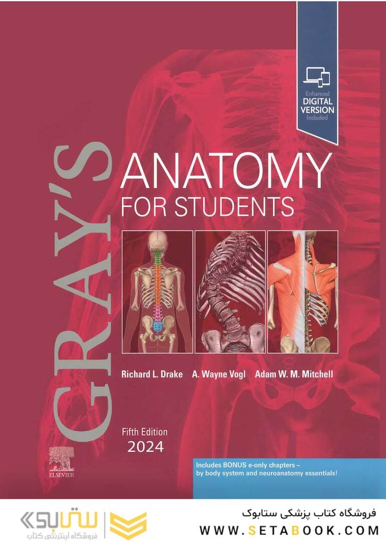 Gray’s Anatomy for Students 5th Edition 2024