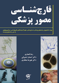 عکس قارچ شناسى مصور پزشکى